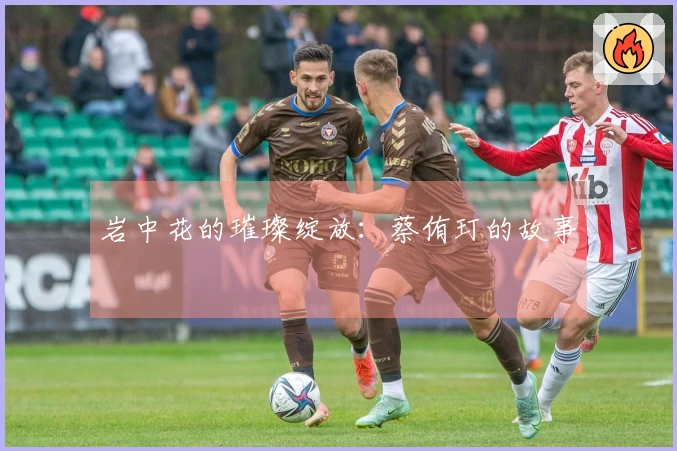 岩中花的璀璨绽放：蔡侑玎的故事